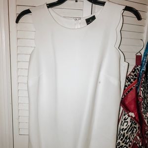 Worthington White Scallop Tank